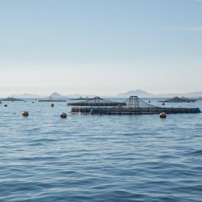 1655344034831960.jpg 養殖.jpg